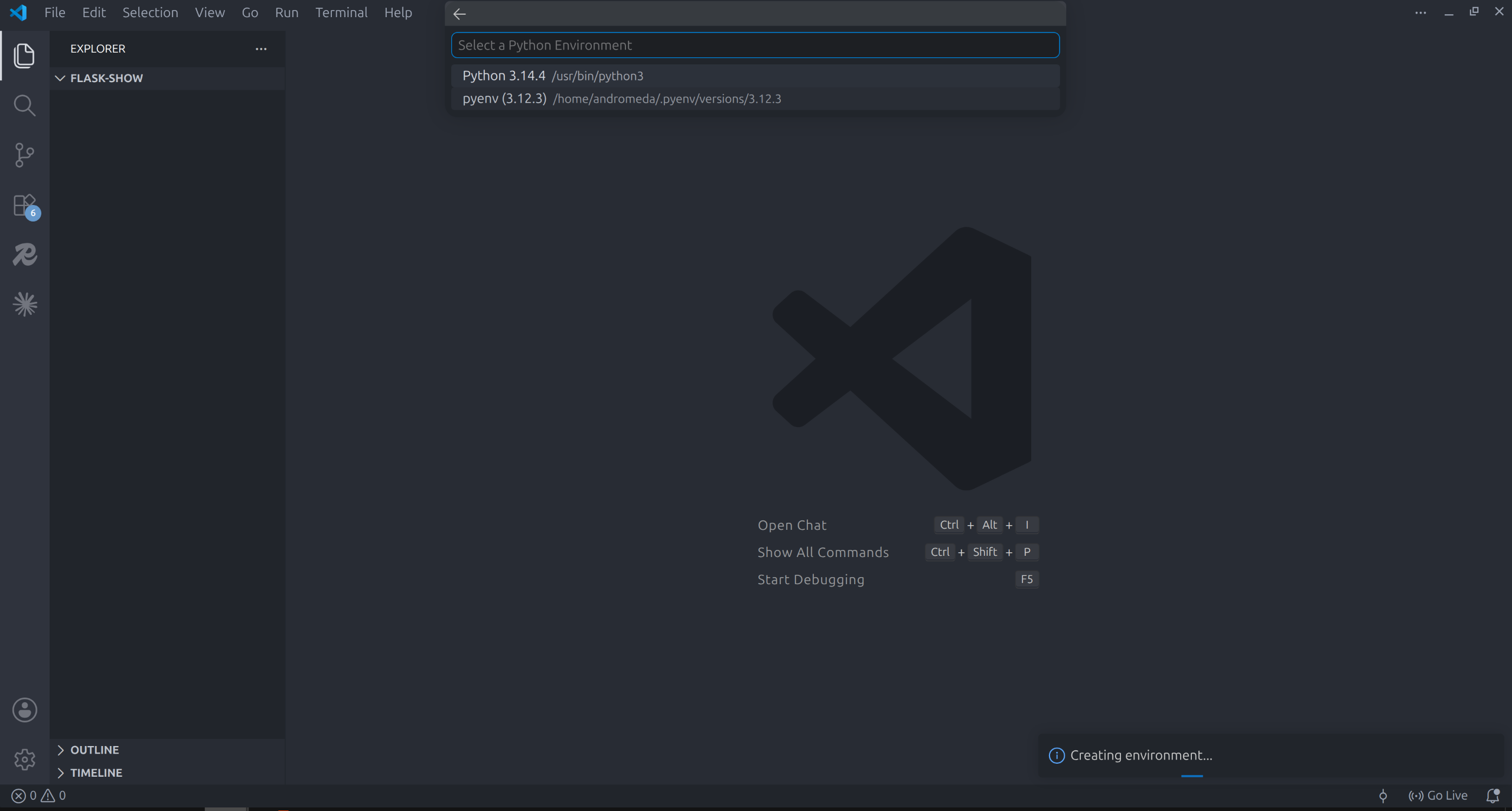 Python interpreter selection