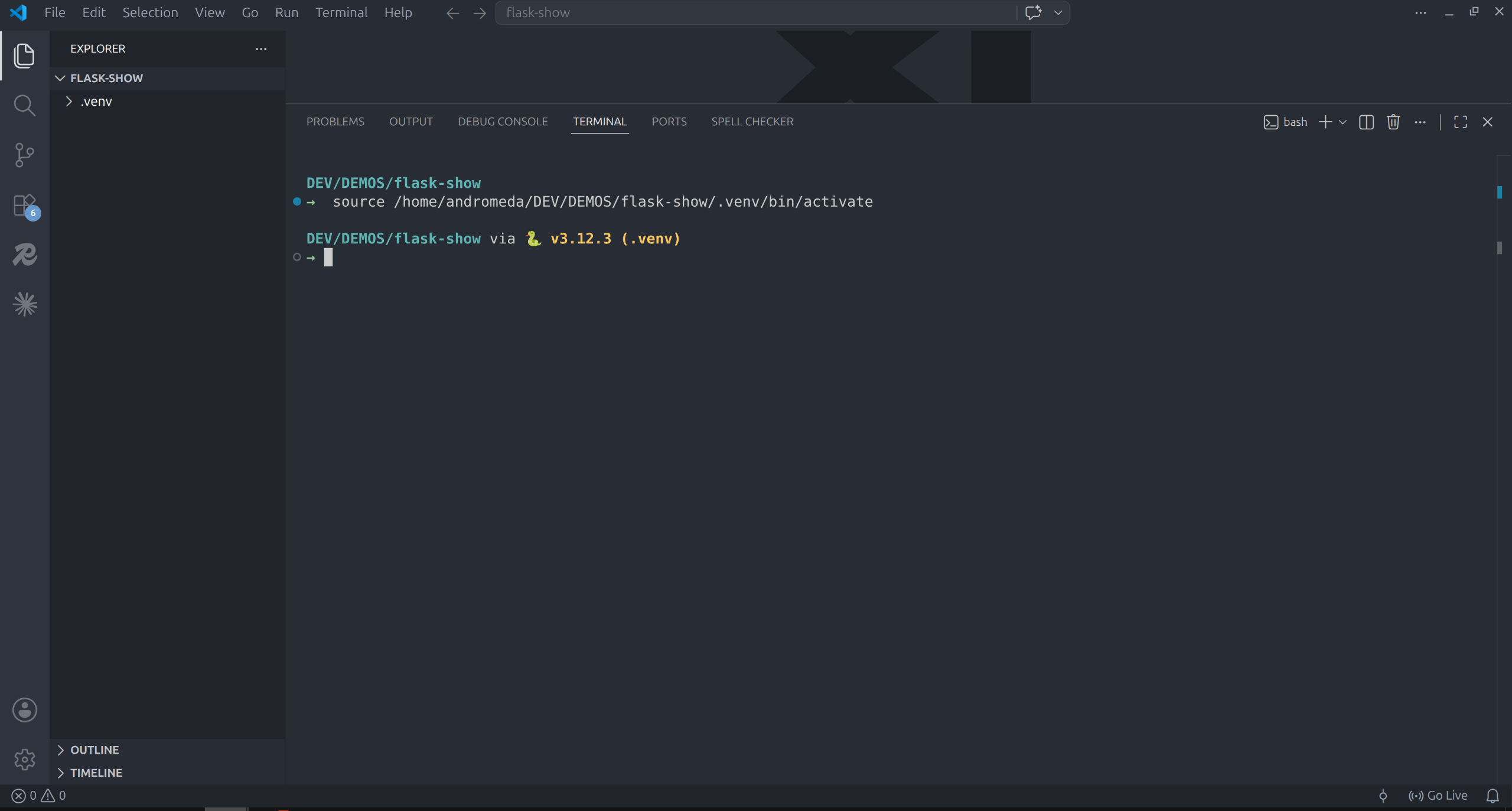 Terminal showing (.venv) prefix before the prompt